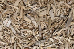 biomass boilers Daggons